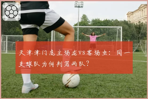 天津津门虎主场龙vs客场虫：同一支球队为何判若两队？