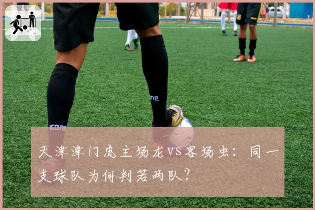 天津津门虎主场龙vs客场虫：同一支球队为何判若两队？